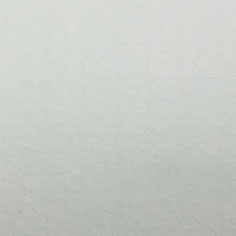 美國美紋ST251