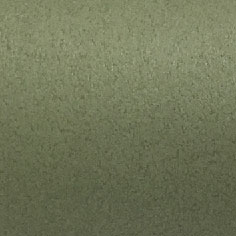 日本丹迪77107B