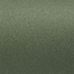日本丹迪77109B