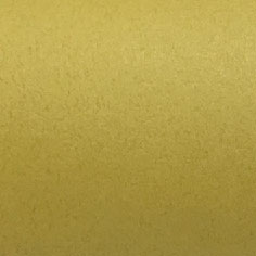 日本丹迪7770B
