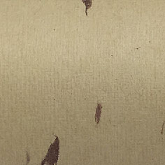 日本花漾YK006C