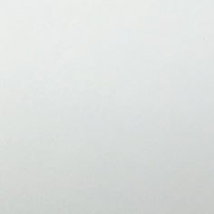 手感BL2801