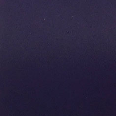 手感BL2809